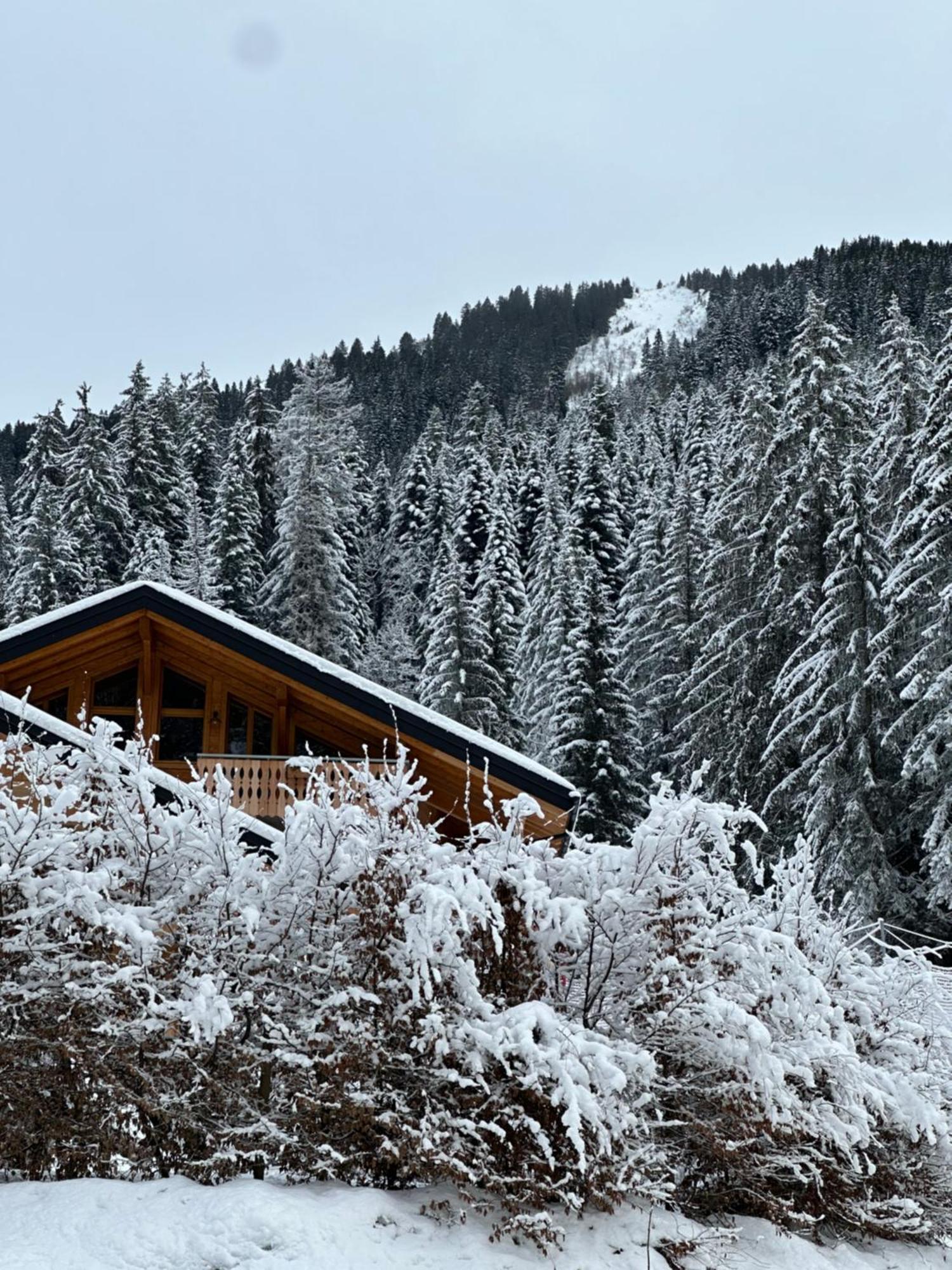 La Rose Des Neiges A Шатель Экстерьер фото